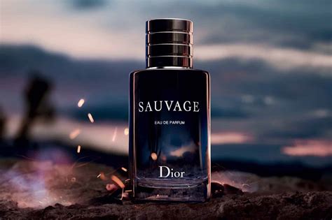 dior sauvage parfum avis|what does dior sauvage smell like.